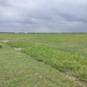 Image of 1500 Sq.ft Residential Plot / Land for sale in Bilandpur, Gorakhpur for Rs. 701000