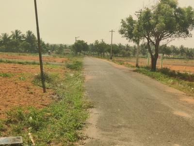 Ellappalayam Plot View 1