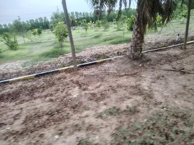 Image of 12000 Sq.ft Residential Plot / Land for sale in Uthiramerur, Chennai for Rs. 4000000