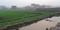 Danapur Plot View 2