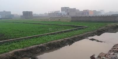 Danapur Plot View 2