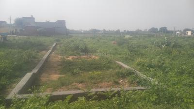 Residential Plot