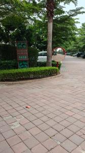 Image of 2300 Sq.ft 3 BHK Builder Floor for rent in BPTP Amstoria , Sector 102, Gurgaon for Rs. 51000
