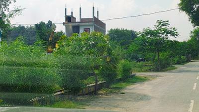 Image of 1250 Sq.ft Residential Plot / Land for sale in Nagram, Lucknow for Rs. 2500000