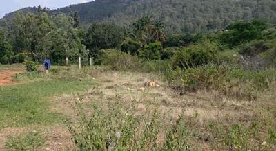 Image of 8712 Sq.ft Residential Plot / Land for sale in Nandi Hills, Chikballapur District for Rs. 20000000