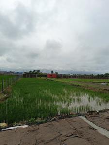 Image of 1000 Sq.ft Residential Plot / Land for sale in Vijay Nagar, Jabalpur for Rs. 1800000