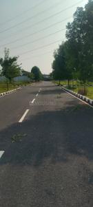 Vignesh Nagar Plot View 3