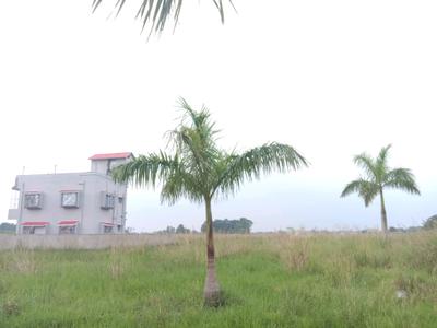 Image of 1440 Sq.ft Residential Plot / Land for sale in Fresco Fountain City Plots, Sankharipota, Raypur for Rs. 640000