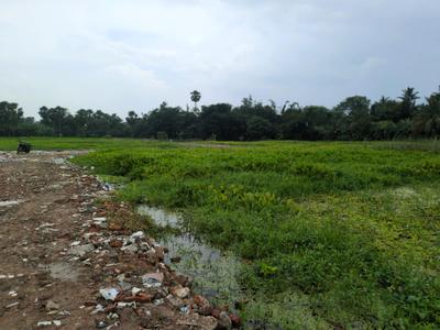 Residential Plot