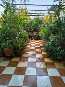 Balcony Image of 2500 Sq.ft 3 BHK Apartment / Flat for sale in Parvati Darshan Pune for Rs. 26000000
