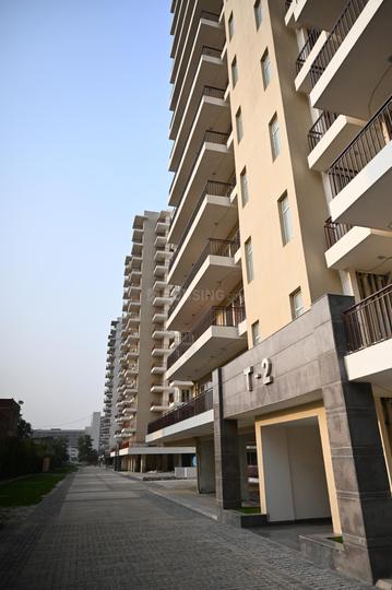 RPS Auria Residences Main Image 1
