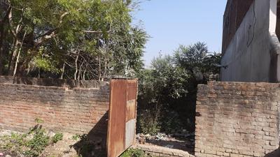 Jhusi Plot View 2