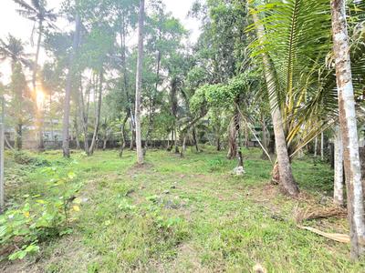 Image of 9570 Sq.ft Residential Plot / Land for sale in North Parvur, Kochi for Rs. 8800000