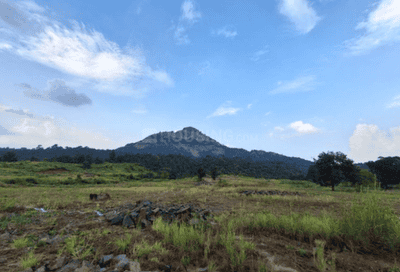 Ascenta Basalt Hills Plot View 2
