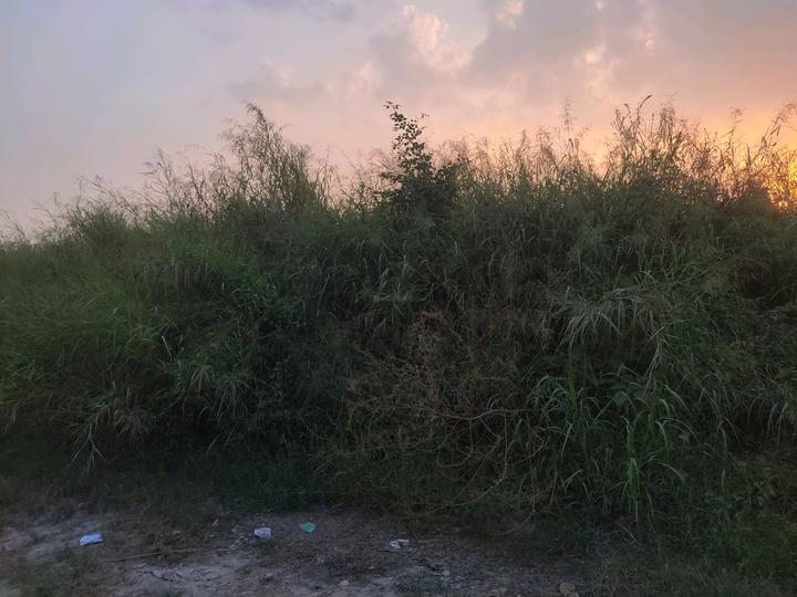 Jaypee Kensington Park Plot Phase 2 Main Image 1