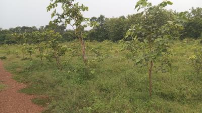 Image of 200 Sq.ft Residential Plot / Land for sale in Kothavalasa, Visakhapatnam for Rs. 1200000