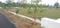 Villa plot  Plot View 2