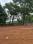 Manakkakadav Plot View 2