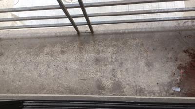 Balcony Image of 680 Sq.ft 1 BHK Apartment / Flat for rent in Ulwe Navi Mumbai for Rs. 12000