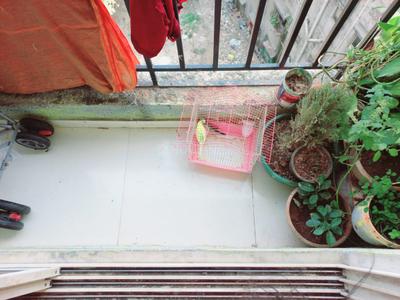 Balcony Image of 440 Sq.ft 1 RK Apartment / Flat for sale in Virar East Virar for Rs. 1580000