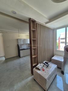 Hall Image of 2000 Sq.ft 3 BHK Apartment / Flat for rent in Raja Park Jaipur for Rs. 40000