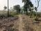 New Moradabad Plot View 2