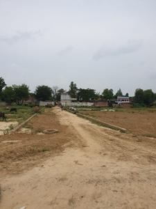 Ghasyari Mandi Plot View 2