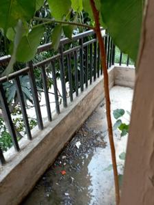 Balcony Image of 1150 Sq.ft 3 BHK Apartment / Flat for sale in Danapur Patna for Rs. 8200000