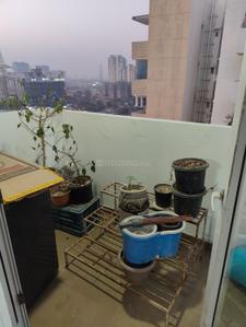 Balcony Image of 505 Sq.ft 2 BHK Apartment / Flat for sale in Tulip Lemon, Sector 69 Gurgaon for Rs. 7600000