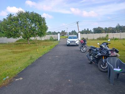 Mahabalipuram Main Image 1