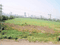 Noida Authority plot Plot View 2