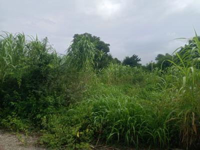 Image of 1916 Sq.ft Residential Plot / Land for sale in Mulshi, Pune for Rs. 6129222
