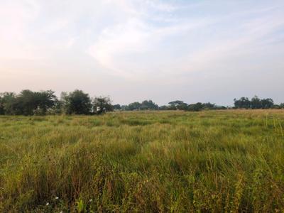 Image of 2160 Sq.ft Residential Plot / Land for sale in Raspunja Township, Joka, Kolkata for Rs. 788888