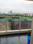Gulmohar Notting Hill Main Image 1