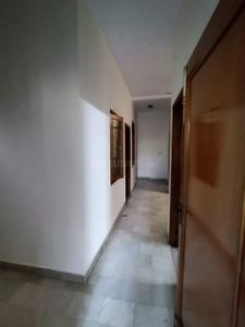 Image of 1800 Sq.ft 2 BHK Builder Floor for rent in Sarvapriya Vihar, New Delhi for Rs. 75000