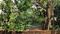Madhyamgram Main Image 1