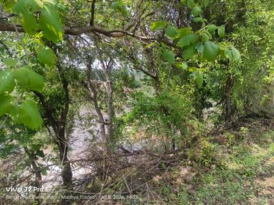 Image of 5200 Sq.ft 1 BHK Farm House for sale in Simrol, Indore for Rs. 1560000