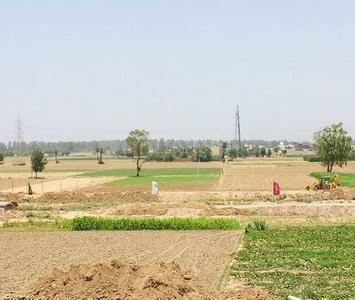 Image of 1053 Sq.ft Residential Plot / Land for sale in HLP Palmillas Plots, Ramgarh Bhudda, Zirakpur for Rs. 9100000