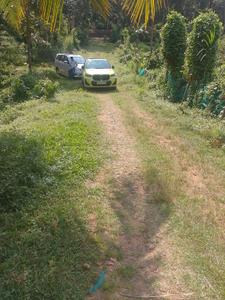Image of 10890 Sq.ft Residential Plot / Land for sale in Killannur, Thrissur for Rs. 3125000