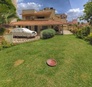 Green Field Plot View 1