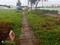 Image of 4000 Sq.ft Residential Plot / Land for sale in Nelamangala, Bangalore for Rs. 12000000