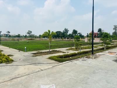Plot View