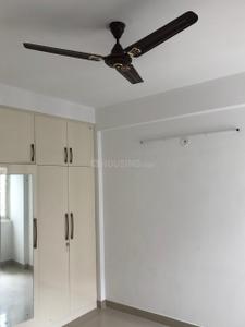 Bedroom Image of 596 Sq.ft 2 BHK Apartment / Flat for rent in Stellar One, Noida Extension Greater Noida for Rs. 22000