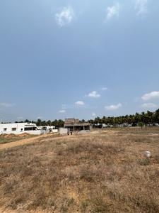 Residential Plot