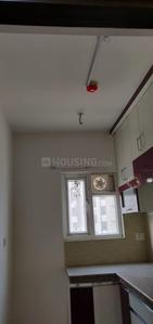 Kitchen Image of 988 Sq.ft 2 BHK Apartment / Flat for rent in The 3C Lotus Zing, Sector 168 Noida for Rs. 24000