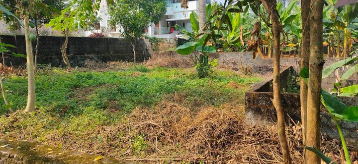 Kuttamassery Main Image 1