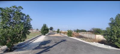Image of 1250 Sq.ft Residential Plot / Land for sale in Bodri, Bilaspur for Rs. 1500000