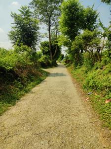 Image of 8055 Sq.ft Residential Plot / Land for sale in Thano, Dehradun for Rs. 19690000