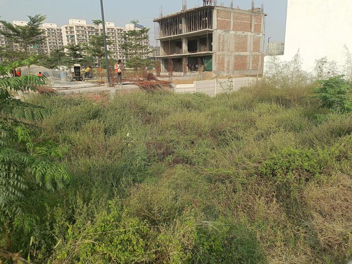 Satya Merano Greens Main Image 1