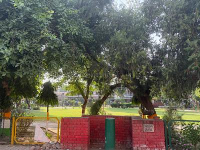 Image of 2200 Sq.ft 2 BHK Builder Floor for rent in Urban Estate, Jalandhar for Rs. 30000